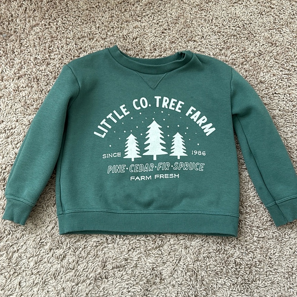 Little Co Green Sweater